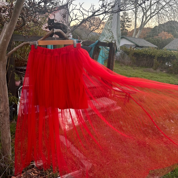 Red Tulle H&M Holiday Skirt - Picture 4 of 5